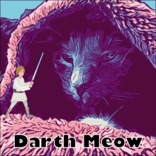 Starwars Cat GIF - Starwars Cat Cat Vs Luke GIFs