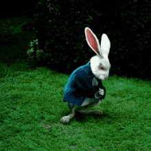 Waiting Rabbit GIF - Waiting Rabbit Alice GIFs