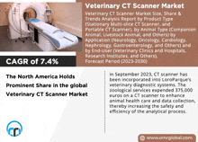 Veterinary Ct Scanner Market GIF - Veterinary Ct Scanner Market GIFs