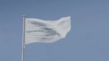 a white flag is flying in the wind with the words temple on it