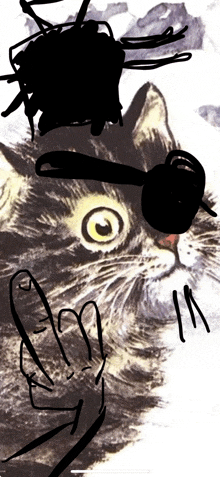 Cat Pirate GIF