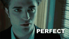 Perfect Edward Cullen GIF - Perfect Edward Cullen Robert Pattinson GIFs
