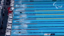 Swimming International Paralympic Committee GIF - Swimming International Paralympic Committee Paralympics GIFs