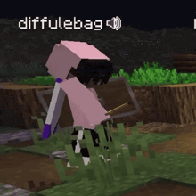 a screenshot of a video game with diffulebag written on the bottom