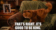 Garfield Thats Right Its Good To Be King GIF - Garfield Thats Right Its Good To Be King King GIFs