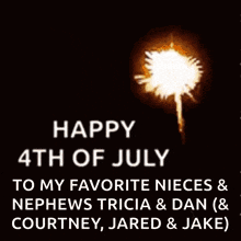happy 4th of july to my favorite nieces and nephews tricia and dan ( & courtney jared and jake )