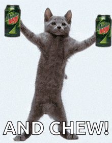 Mountain Dew Cat GIF