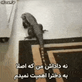 a lizard is sitting on a rug next to a wall .