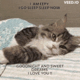 sleepy eepy kitty goodnight love