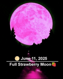 a full strawberry moon is coming in june of 2025