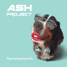 Ash Ash Project GIF