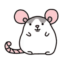 nbrchristy mouse