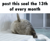 a seal is laying on a piece of ice with the words post this seal the 13th of every month below it .