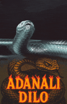 a poster with a snake and the word adanali dilo on it
