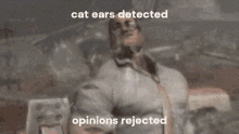 Cat Ear Cat Ears GIF - Cat Ear Cat Ears Opinion GIFs