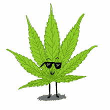 weed mary