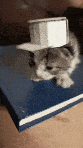 a kitten wearing a top hat is sitting on a blue book