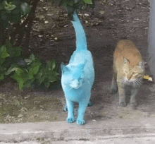 a blue cat and a brown cat are standing next to each other on a sidewalk .