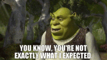 Shrek You Know GIF - Shrek You Know Youre Not Exactly What I Expected GIFs