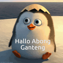 a picture of a penguin with the words hallo along ganteng written below it