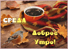 a cup of coffee is wrapped in a scarf and surrounded by leaves and a bird