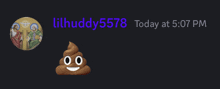 Poop Lilhuddy5578 GIF