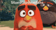 Blueycapsule Blueycapsules GIF - Blueycapsule Blueycapsules