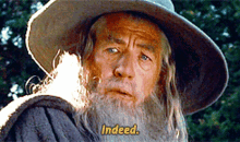 Lord Of The Rings Gandalf GIF - Lord Of The Rings Gandalf Indeed GIFs