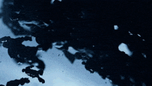 a bunch of fish are swimming in the ocean