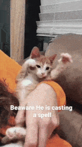Cat Spell GIF - Cat Spell Casting GIFs