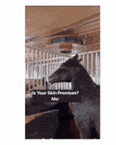 a horse standing in a fenced in area with the caption " is your skin premium "
