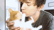 Jc And Vega😻 GIF - Cat Kiss Pet GIFs
