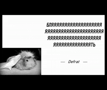 a black and white photo of a hamster next to a bunch of russian words