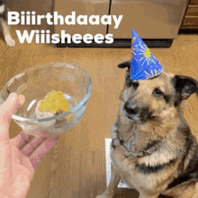 Funny Animal Birthday Memes GIFs | Tenor