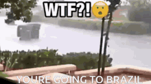 Wtf Youre Going To Brazil GIF - Wtf Youre Going To Brazil Raining GIFs