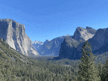 a view of yosemite national park with mountains and trees in the foreground