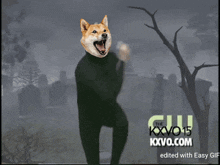 Doge Dogecoin GIF - Doge Dogecoin GIFs