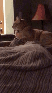 Pancake Cat GIF - Pancake Cat Day Vid Cat GIFs
