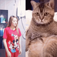 Staring Cat GIF - Staring Cat Girl GIFs