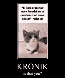 Kronik Cat GIF - Kronik Cat Based GIFs