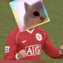 a man wearing a red aig jersey with a cat on his head