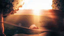 a person laying in a hammock with the sun shining through the trees