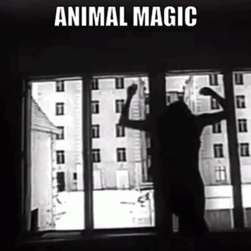 Belouis Some Animal Magic GIF - Belouis Some Animal Magic The Things You Do  To Me - Discover & Share GIFs