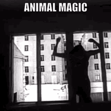 Belouis Some Animal Magic GIF - Belouis Some Animal Magic The Things You Do To Me GIFs