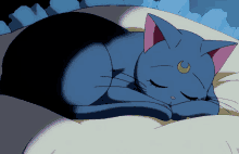 Sailor Cat Sleeping GIF