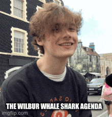 Wilbur Soot Whale Shark GIF - Wilbur Soot Whale Shark Will Gold GIFs