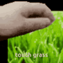 Touch Grass GIF