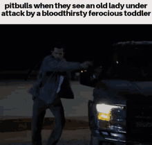 Pitbulls Pitbulls When They See An Old Lady Under Attack By A Bloodthirsty Ferocious Toddler GIF - Pitbulls Pitbulls When They See An Old Lady Under Attack By A Bloodthirsty Ferocious Toddler Pitbulls When GIFs