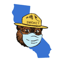 only you can prevent the recall smoke the bear keep ca blue oppose the recall recall