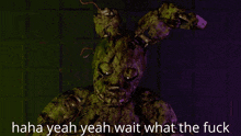 a picture of a bunny with the words " haha yeah yeah wait what the fuck "